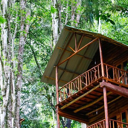 Ella Ecolodge Bagian luar foto