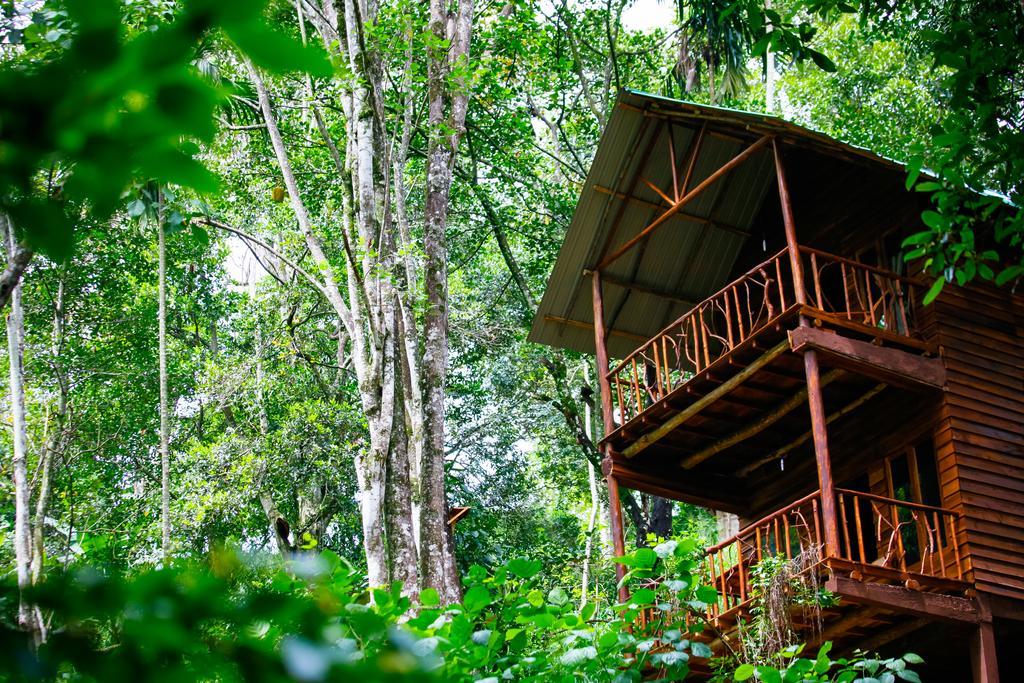 Ella Ecolodge Bagian luar foto
