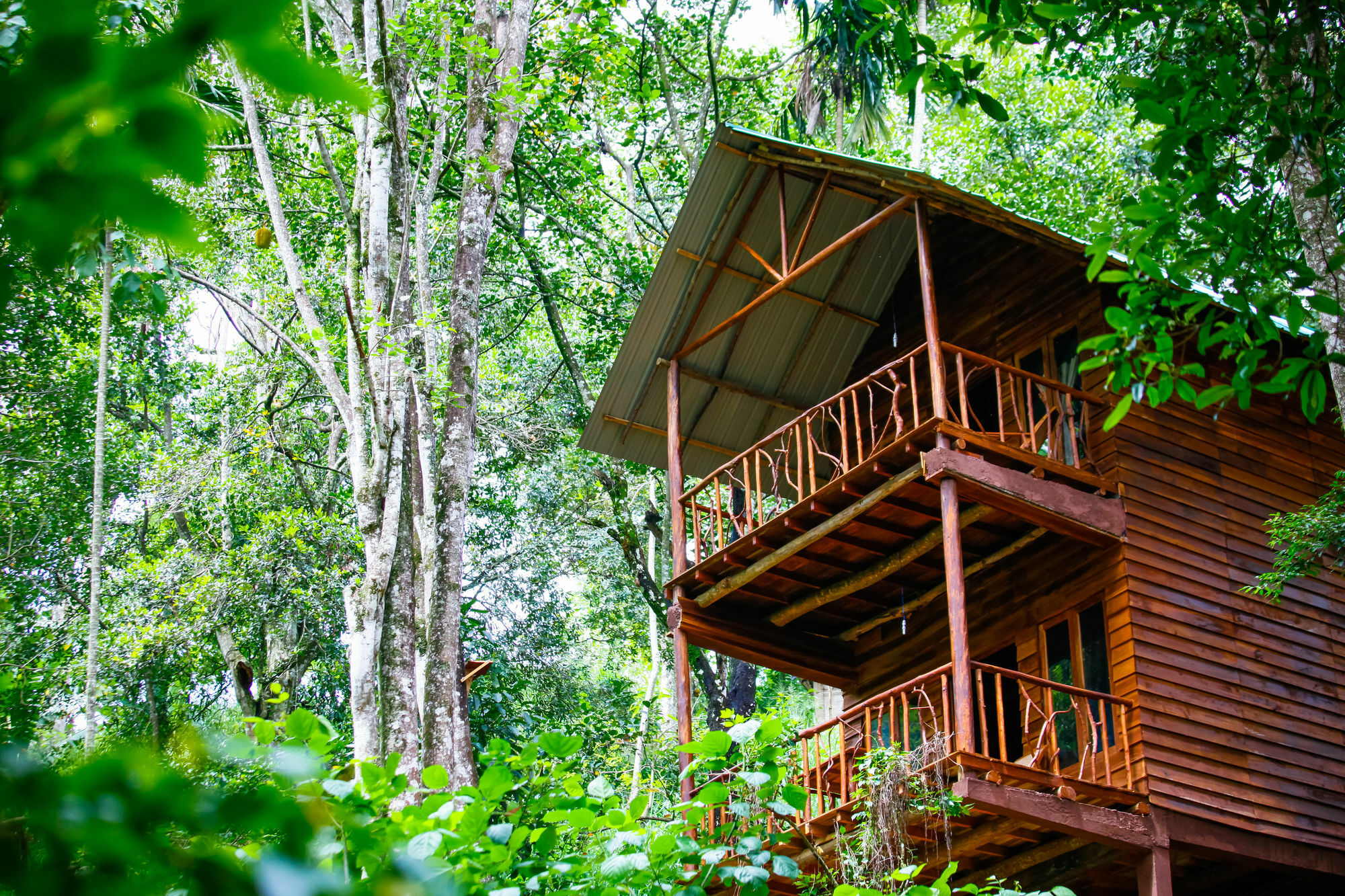 Ella Ecolodge Bagian luar foto