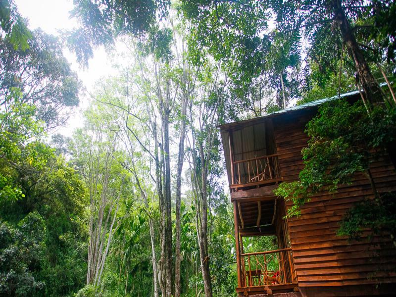 Ella Ecolodge Bagian luar foto