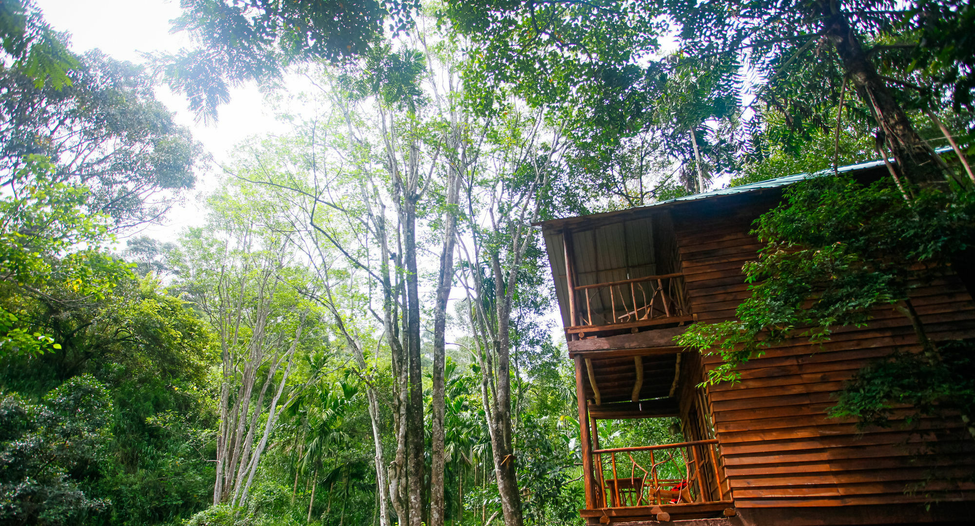 Ella Ecolodge Bagian luar foto