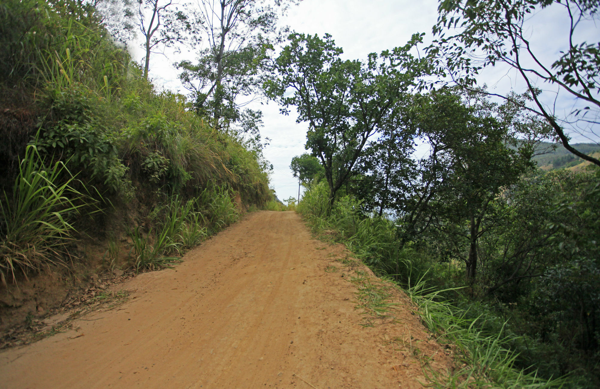 Ella Ecolodge Bagian luar foto