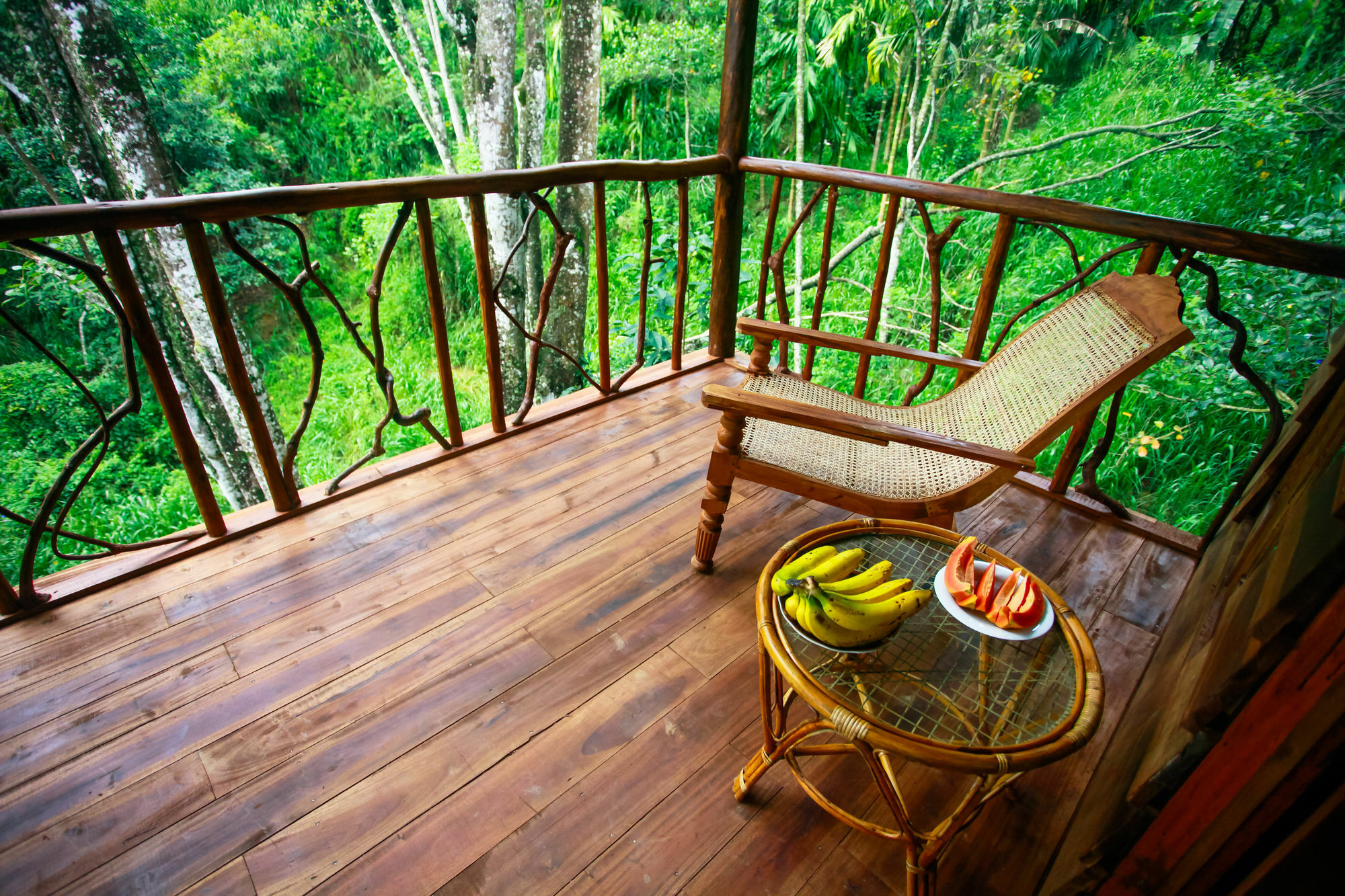 Ella Ecolodge Bagian luar foto