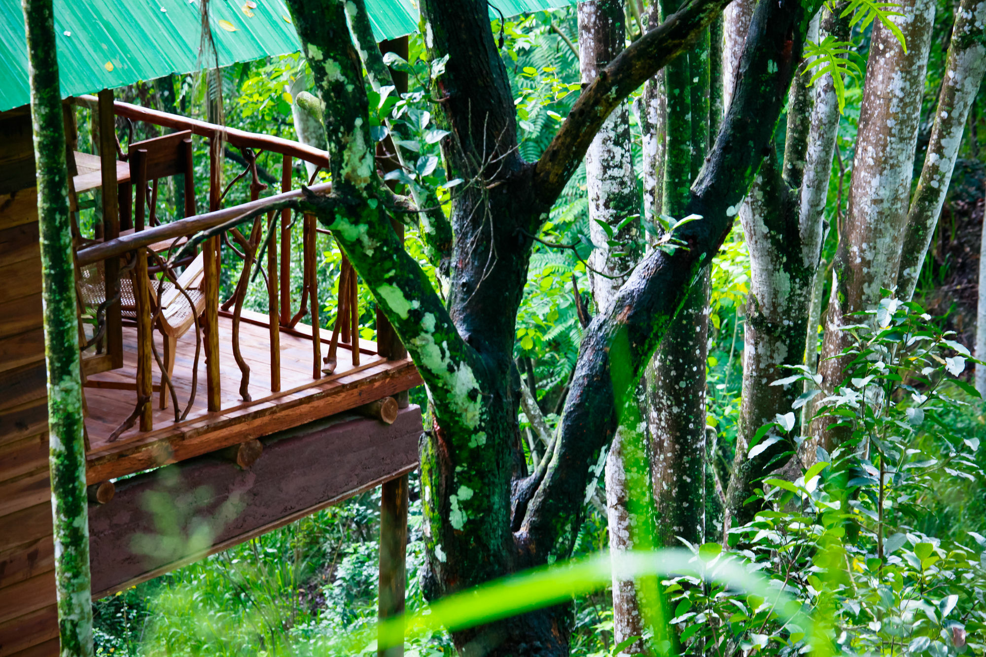 Ella Ecolodge Bagian luar foto