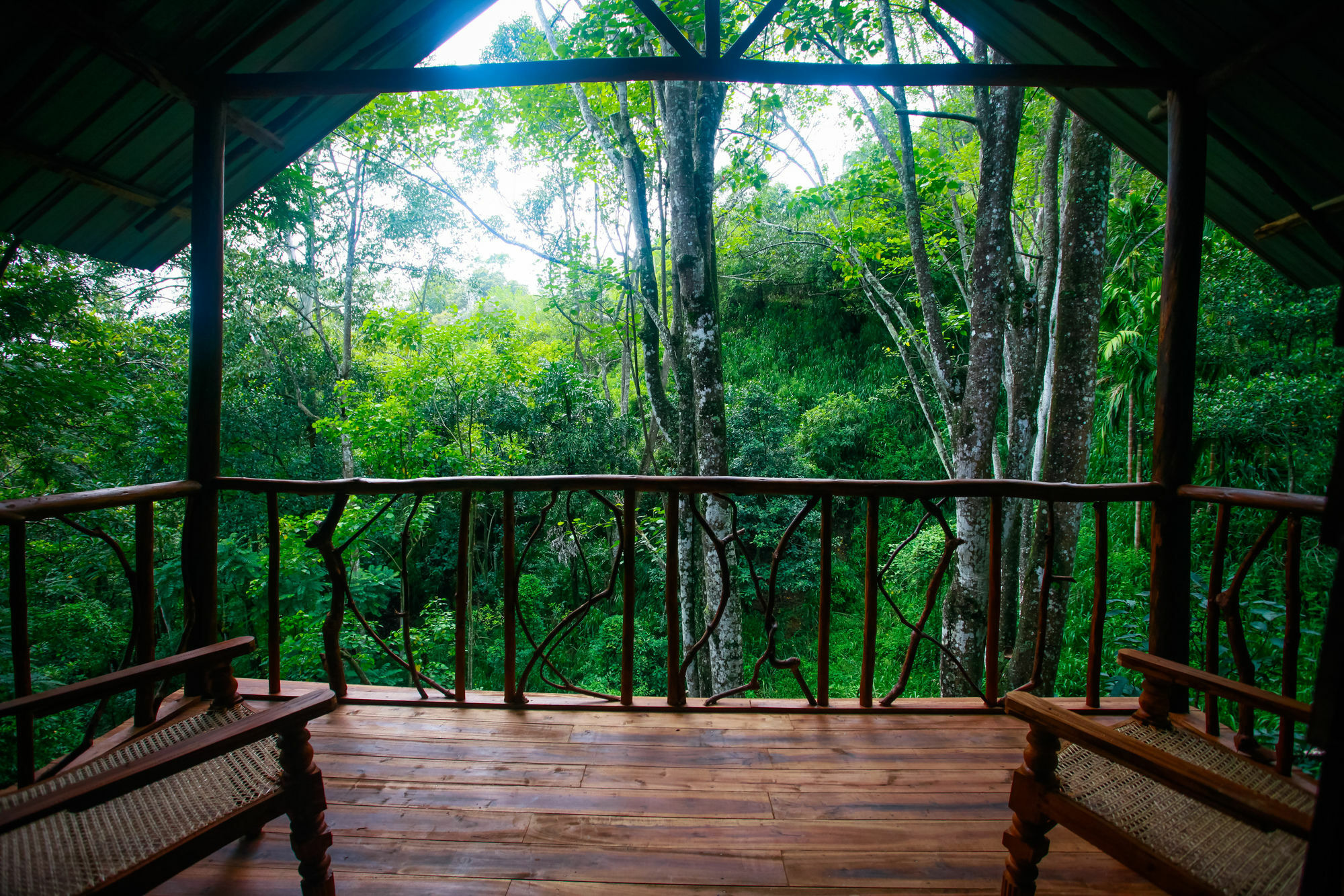 Ella Ecolodge Bagian luar foto