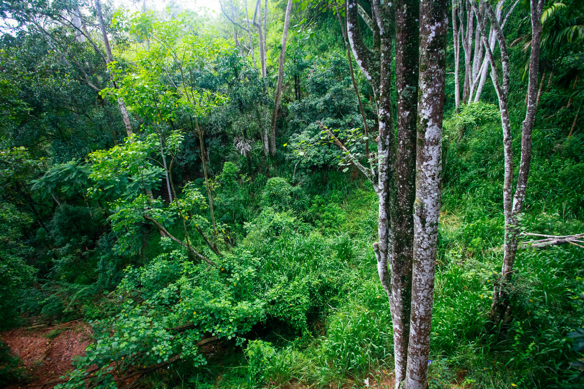 Ella Ecolodge Bagian luar foto
